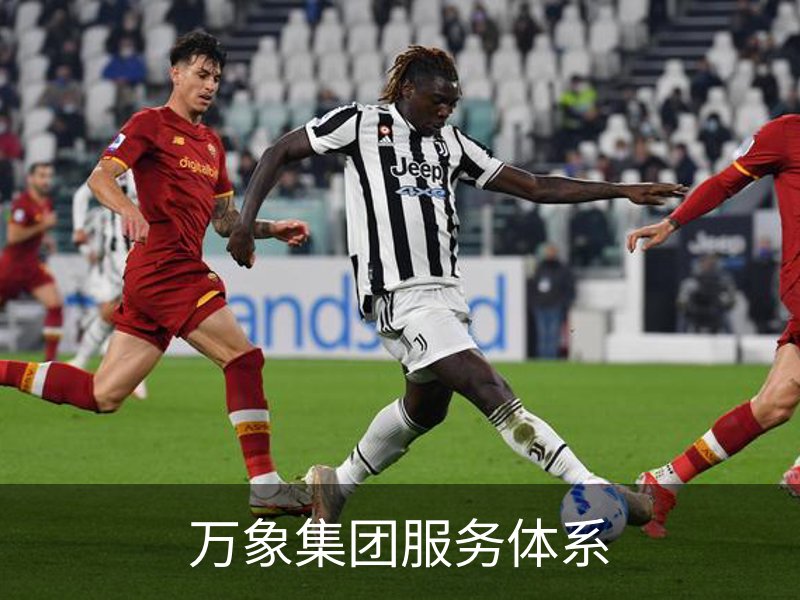 万象集团服务体系品牌故事